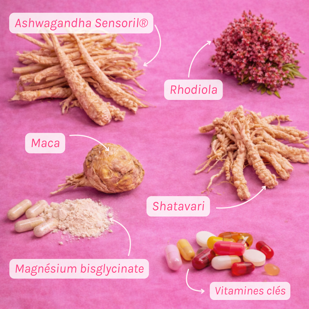 🌸 Complexe Adaptogène Féminin